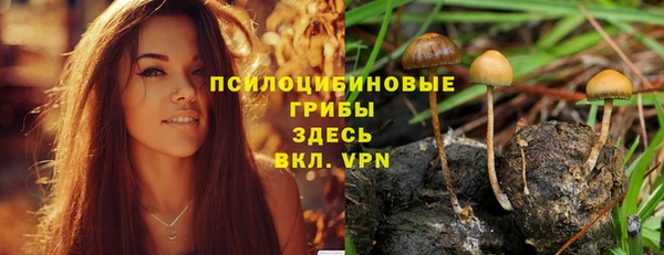 скорость mdpv Ельня